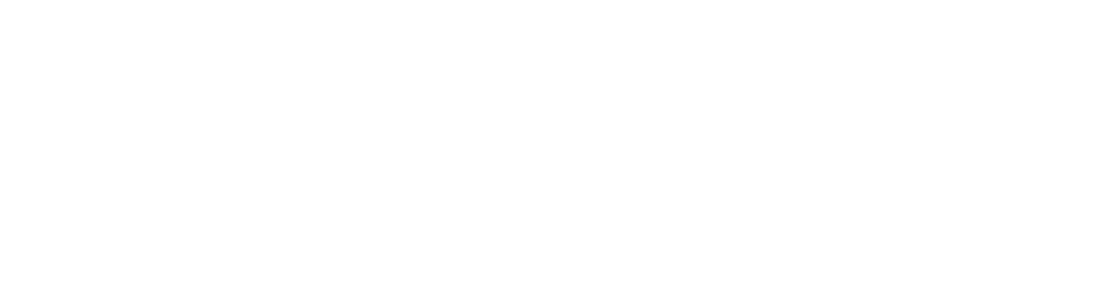 PSS PromSoftService