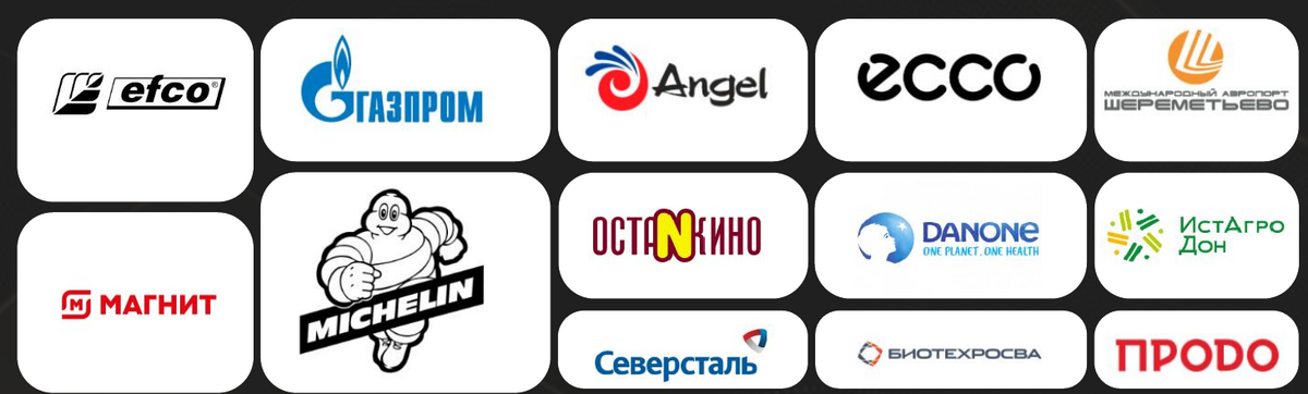 EFCO, Газпром, Angel, ECCO, Шереметьево, Магнит, Michelin, Останкино, Danone, ИстАгро Дон, Северсталь, БиоТехРосва и ПРОДО
